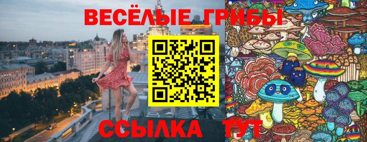 Псилоцибиновые грибы Psilocybe Грязи